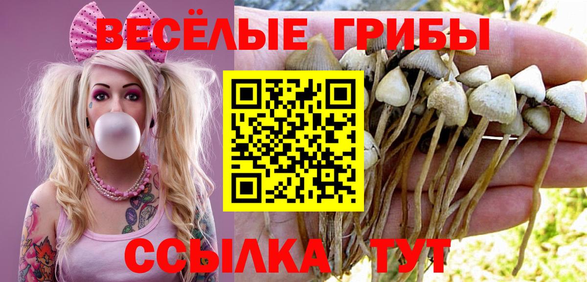 Галлюциногенные грибы прущие грибы  Вход с VPN  Усолье-Сибирское  Галлюциногенные грибы прущие грибы 